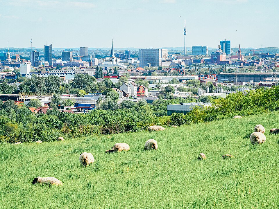 Dortmund — multi-vendor marketplaces for local businesses