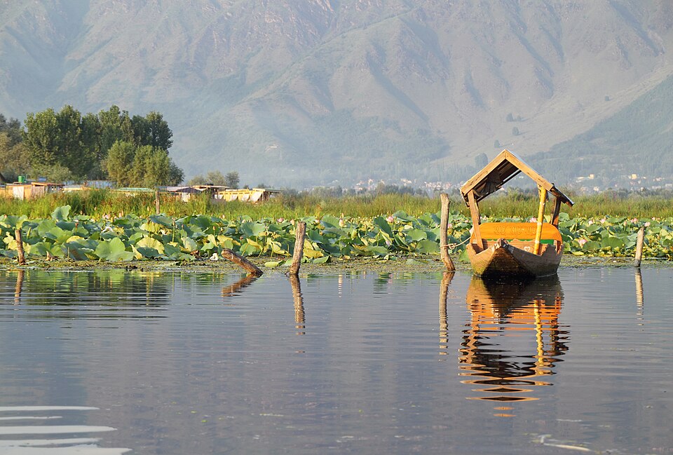 Srinagar (Garhwal) — multi-vendor marketplaces for local businesses