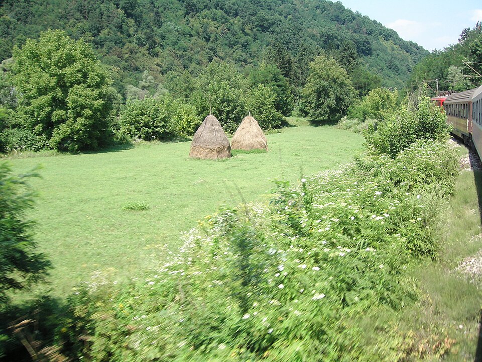 Serbia — local market for service booking platforms