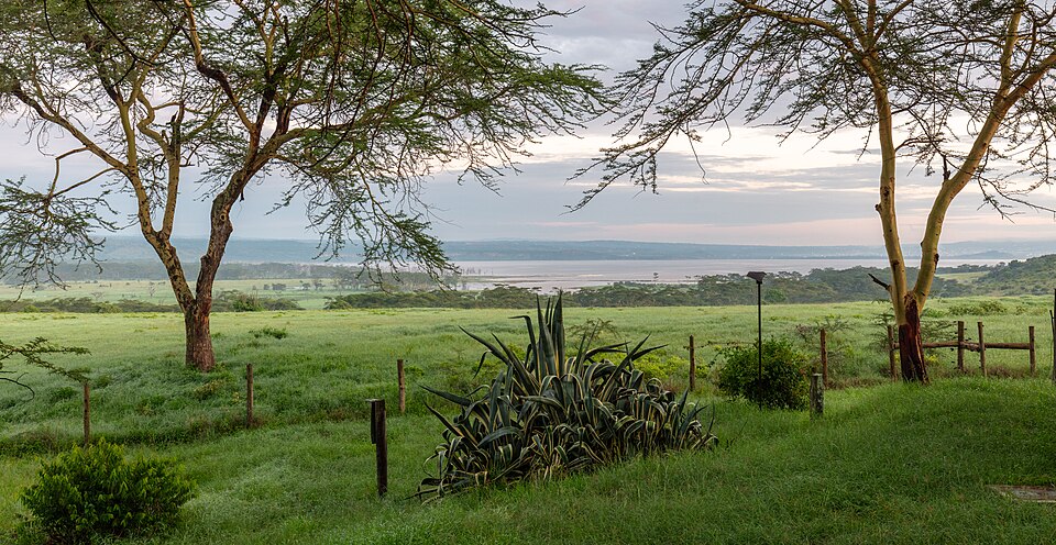Nakuru — local market for custom e-commerce platforms