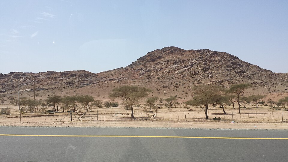 Saudi Arabia — multi-vendor marketplaces for local businesses