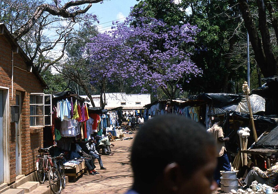 Zomba — local market for manufacturer and distributor portals