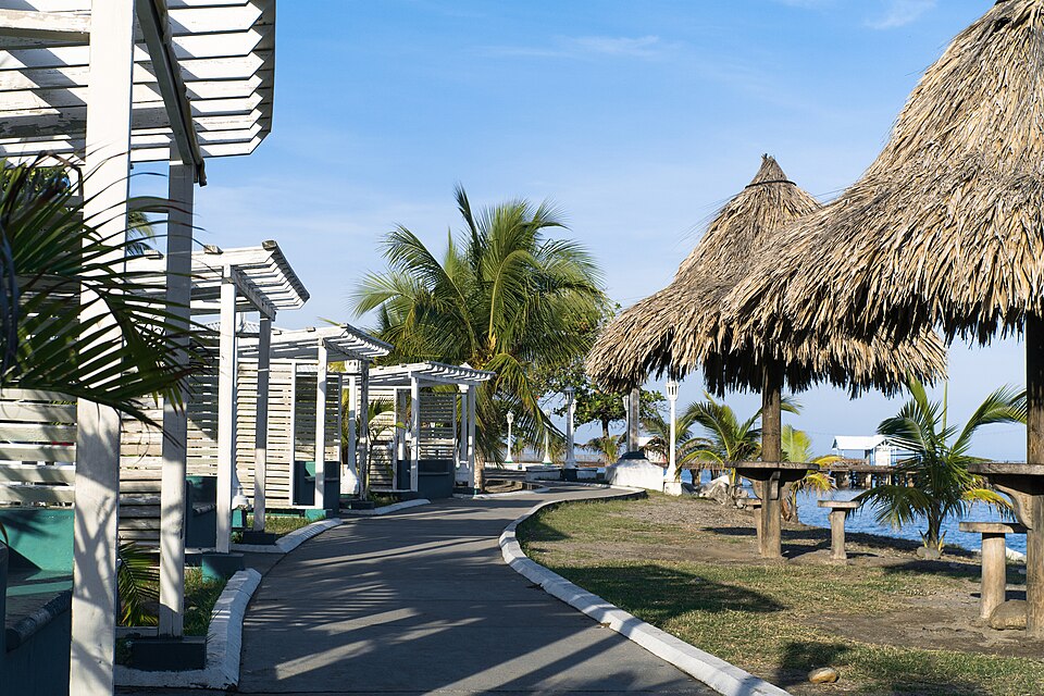 La Ceiba — local market for subscription and membership platforms