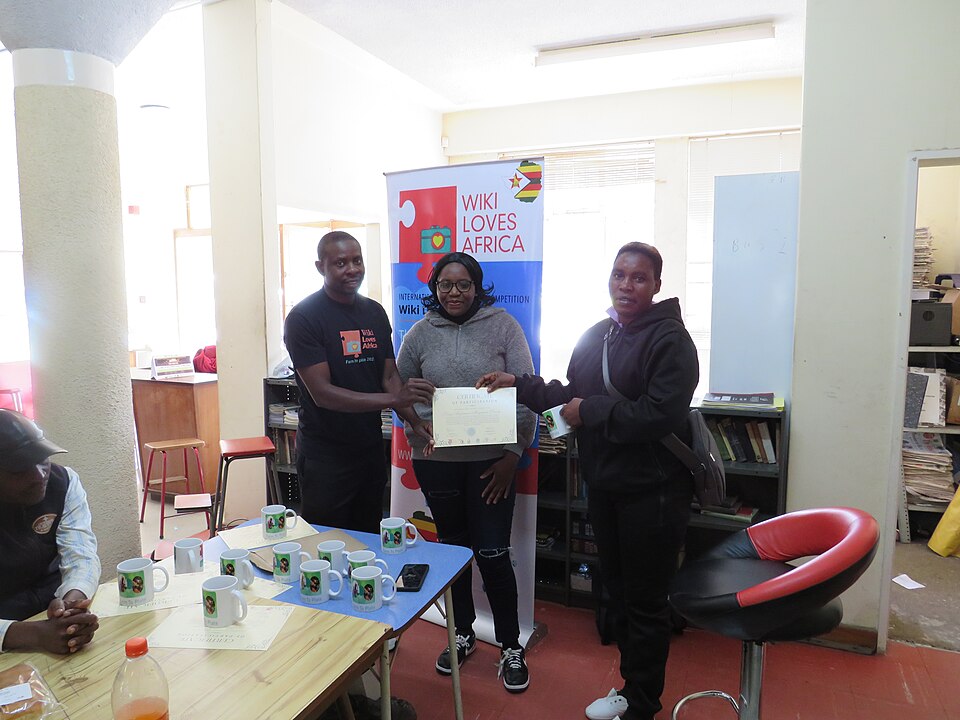 Masvingo — local market for custom e-commerce platforms