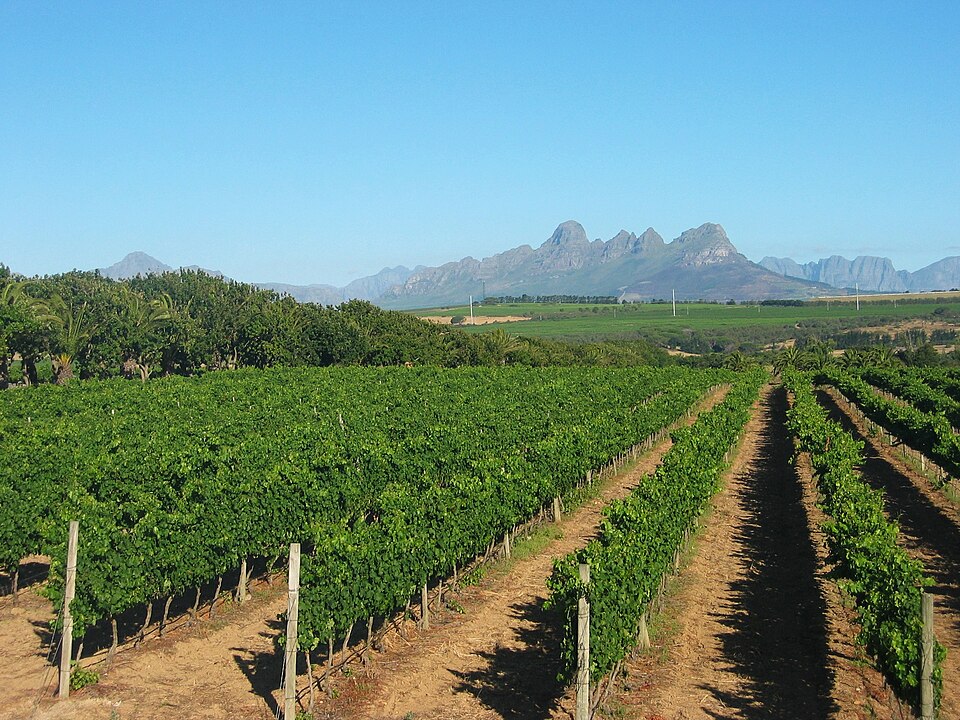 Stellenbosch — custom e-commerce platforms for local businesses