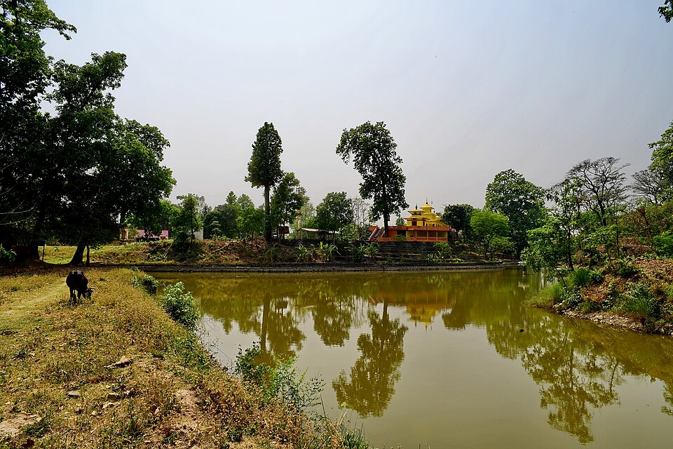 Saket — local market for multi-vendor marketplaces