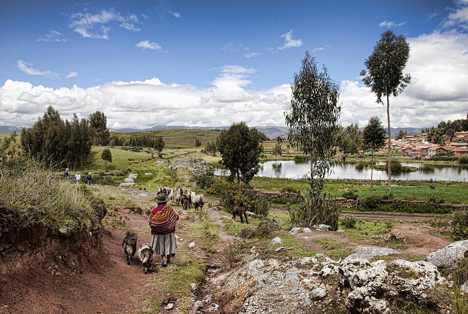 Peru — custom e-commerce platforms for local businesses