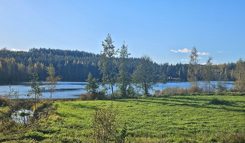 Jyväskylä — international and multi-region stores for local businesses