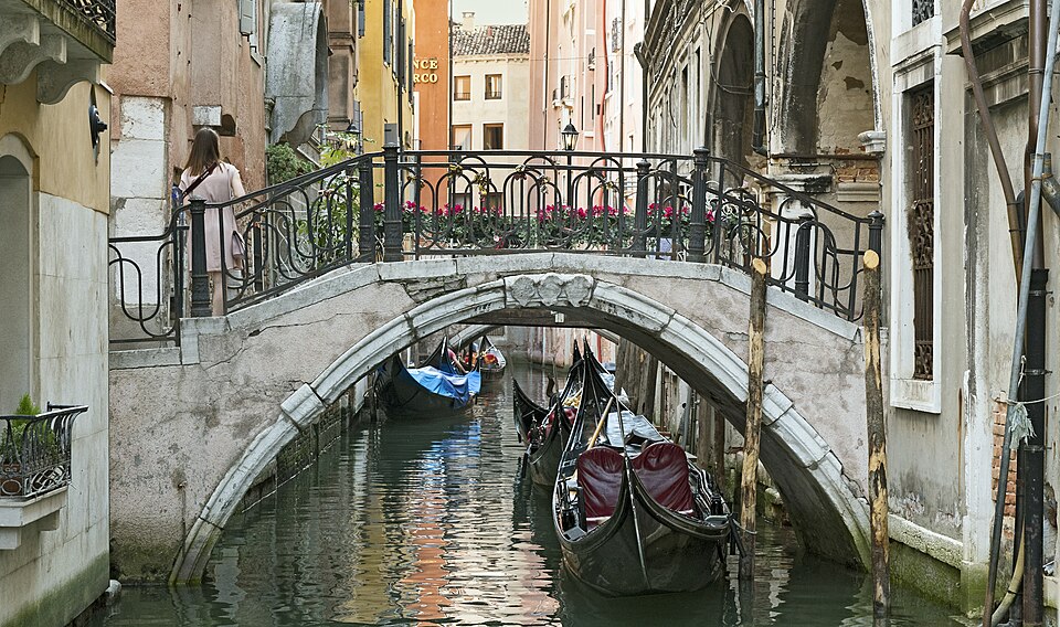 Venice — mobile commerce apps for local businesses
