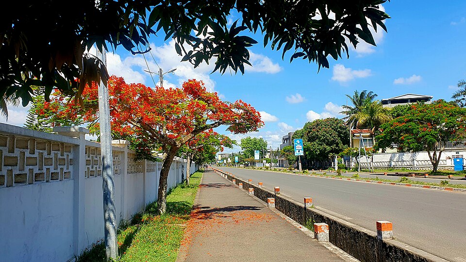 Toamasina — local market for B2B and wholesale portals
