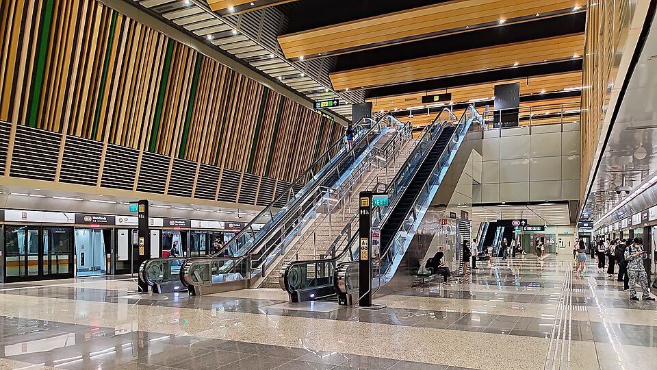 Woodlands — international and multi-region stores for local businesses