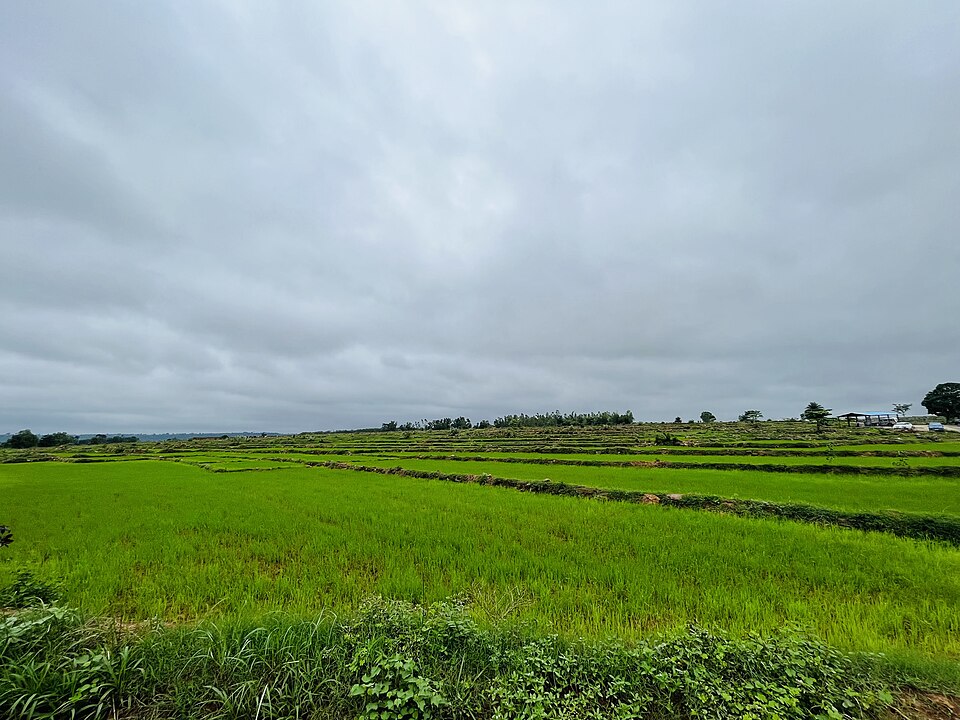 Jagdalpur — B2B and wholesale portals for local businesses