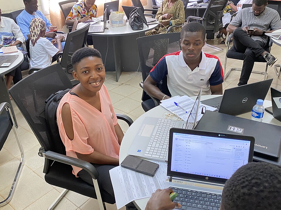 Côte d'Ivoire — local market for B2B and wholesale portals