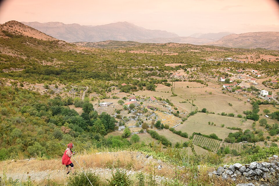 Montenegro — local market for service booking platforms
