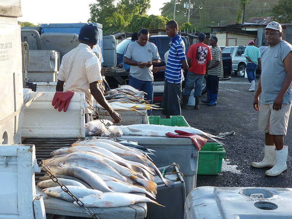 San Fernando — manufacturer and distributor portals for local businesses