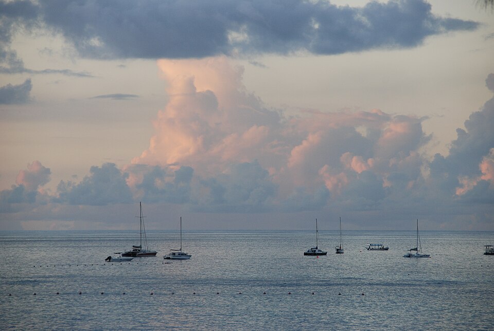 Barbados — service booking platforms for local businesses