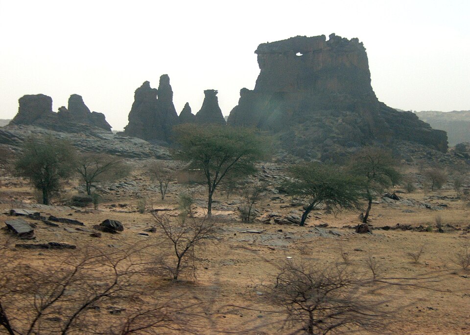 Mauritania — subscription and membership platforms for local businesses