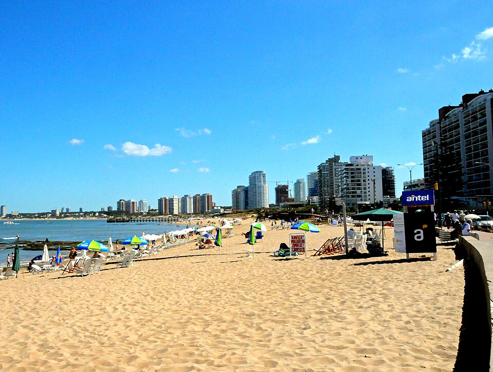 Punta del Este — manufacturer and distributor portals for local businesses