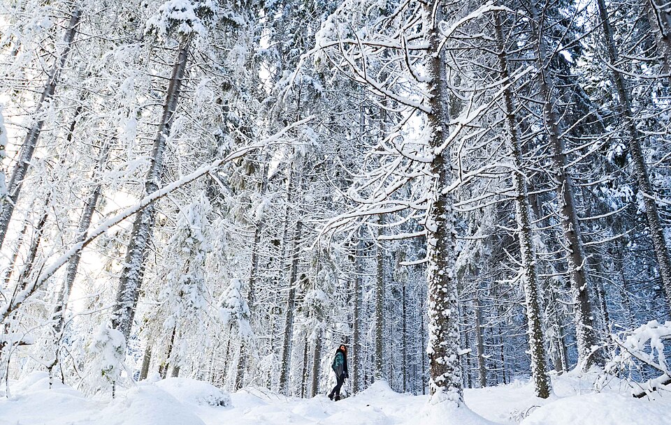 Jyväskylä — multi-vendor marketplaces for local businesses