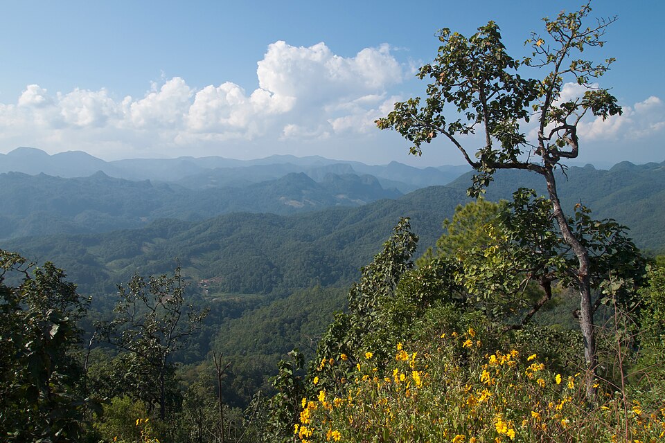 Thailand — manufacturer and distributor portals for local businesses