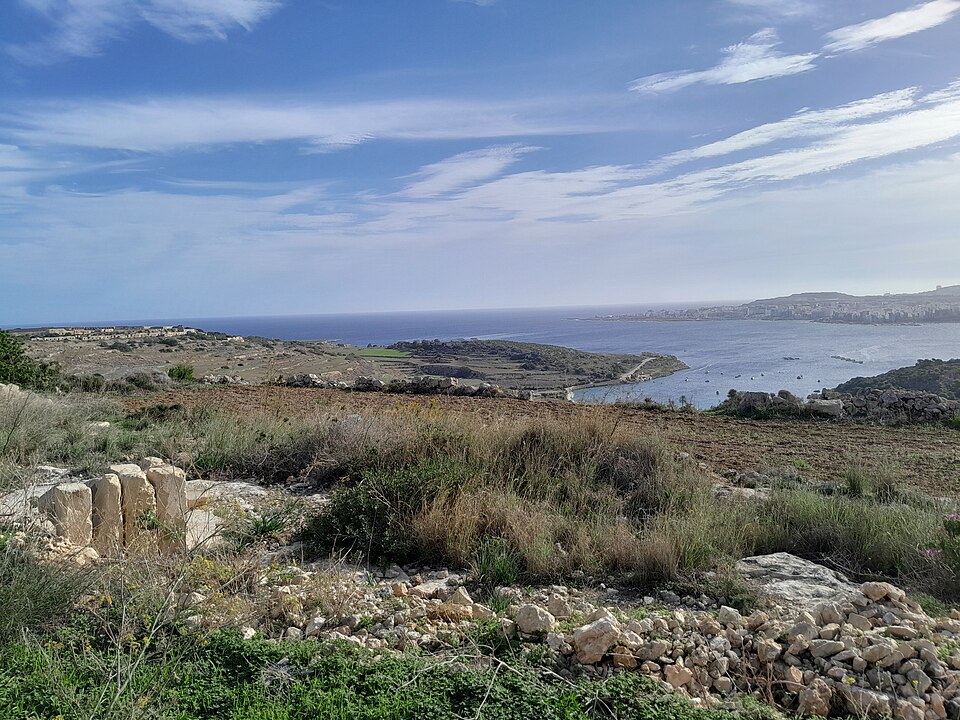 Malta — B2B and wholesale portals for local businesses