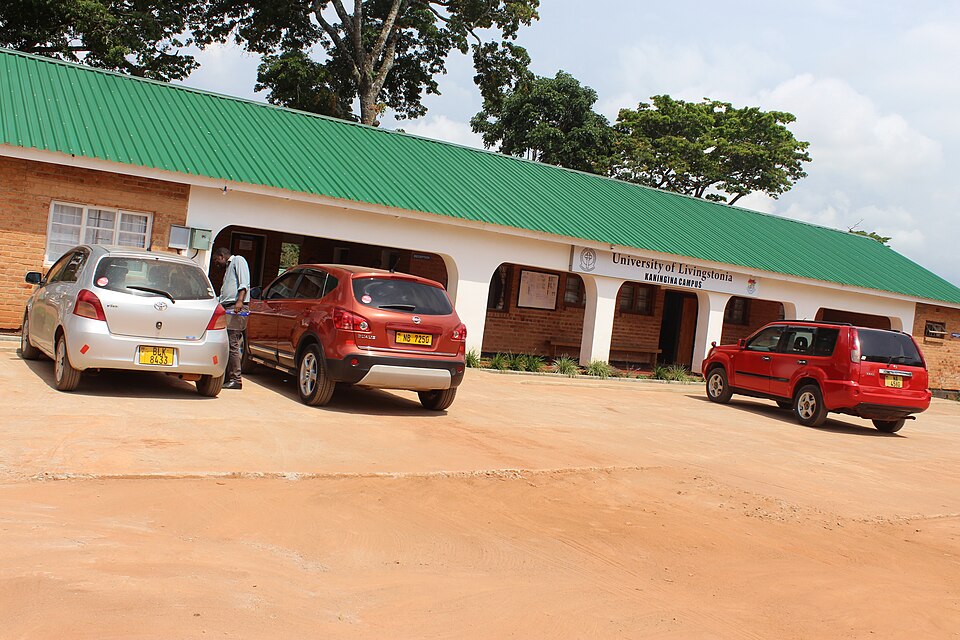 Mzuzu — local market for international and multi-region stores