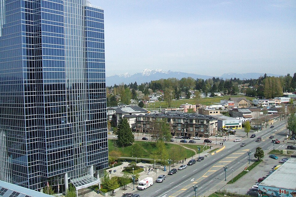Surrey — mobile commerce apps for local businesses