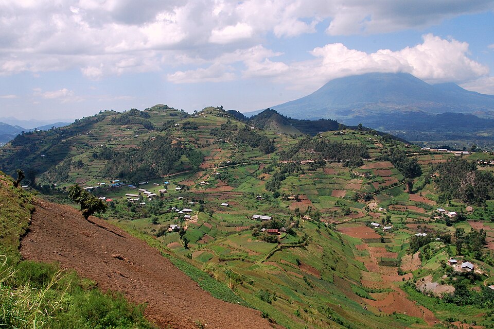 Rwanda — B2B and wholesale portals for local businesses