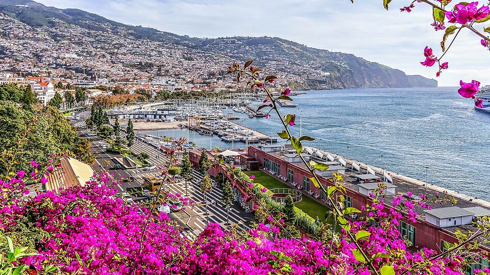 Funchal — local market for online stores