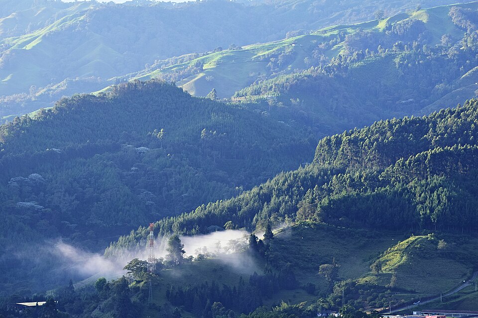 Manizales — service booking platforms for local businesses