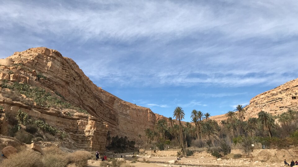 Oran — multi-vendor marketplaces for local businesses