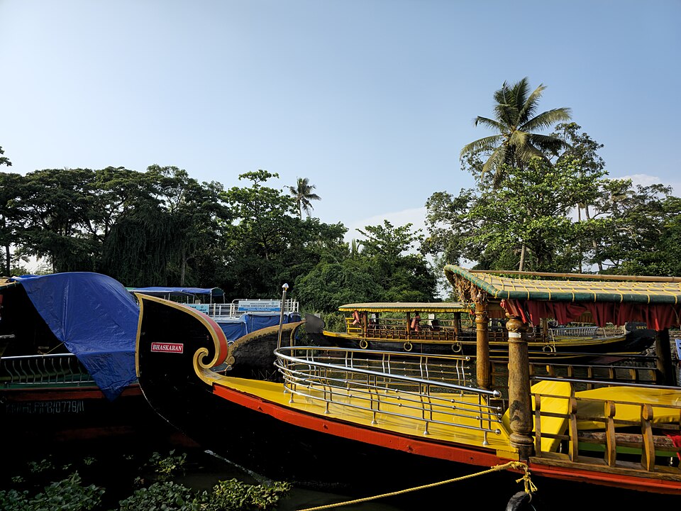 Alappuzha — local market for mobile commerce apps