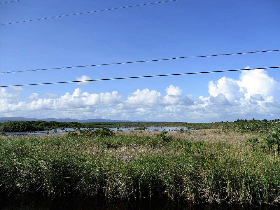 Belize — mobile commerce apps for local businesses