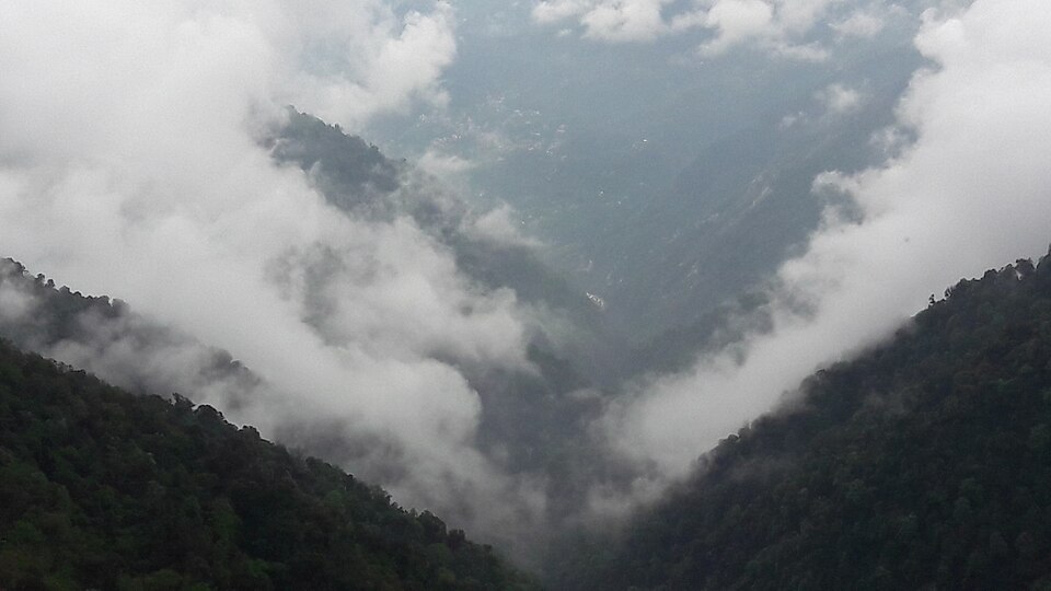 Gangtok — B2B and wholesale portals for local businesses