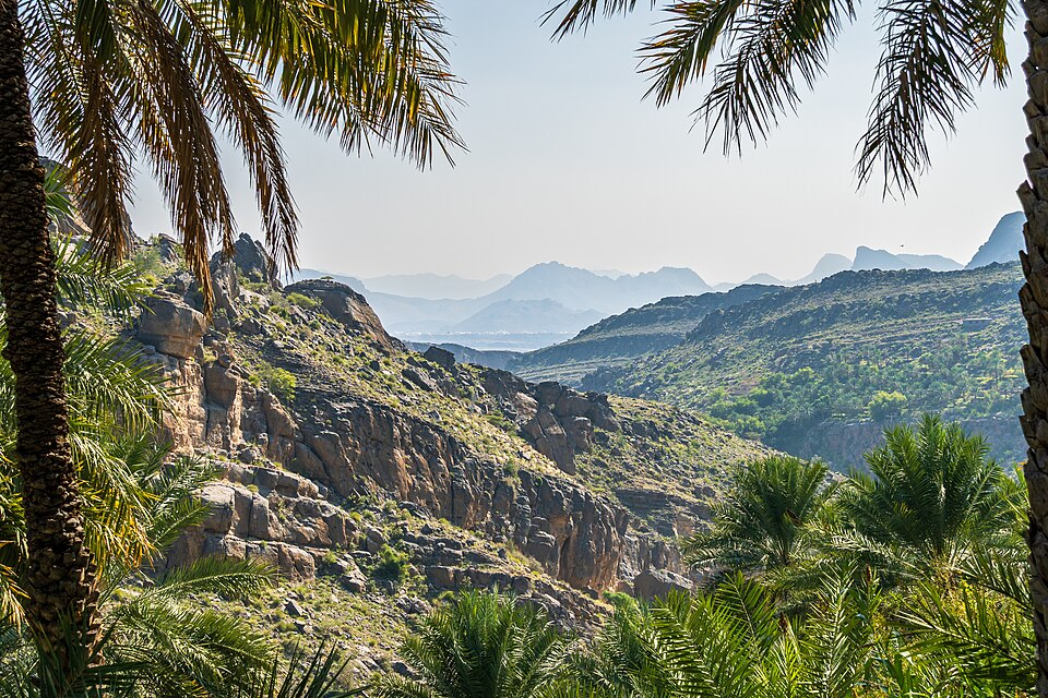 Oman — manufacturer and distributor portals for local businesses