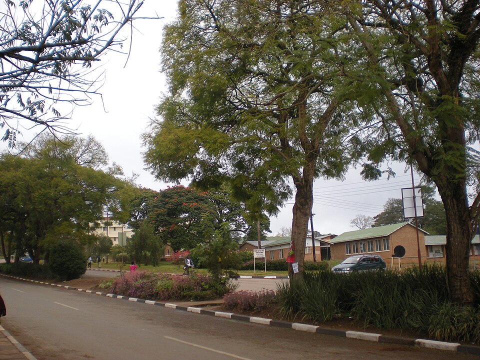 Mzuzu — local market for online stores
