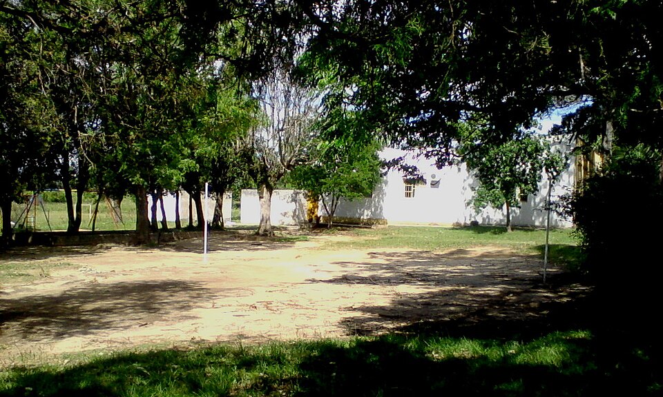 Tacuarembó — multi-vendor marketplaces for local businesses