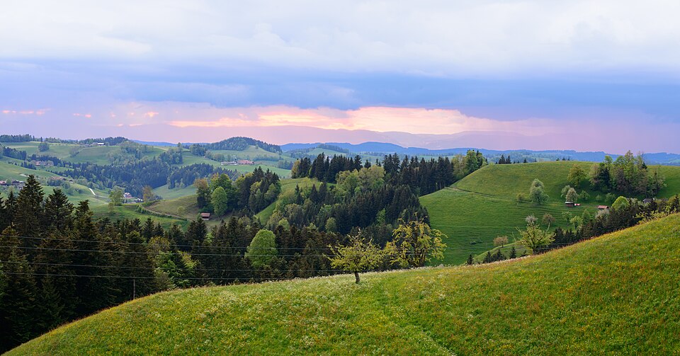 Switzerland — local market for online stores