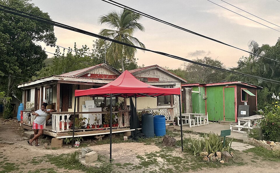 St. John’s — local market for multi-vendor marketplaces