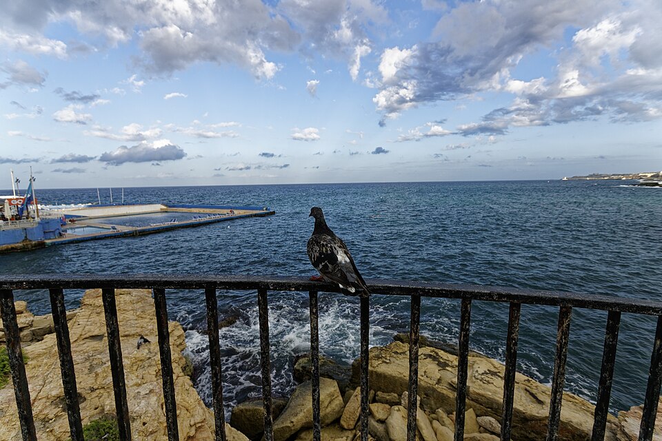 Sliema — local market for international and multi-region stores