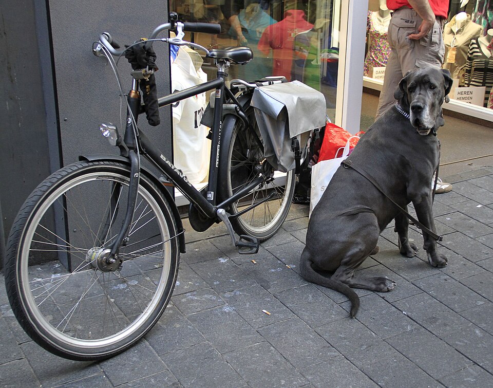 Amsterdam — mobile commerce apps for local businesses