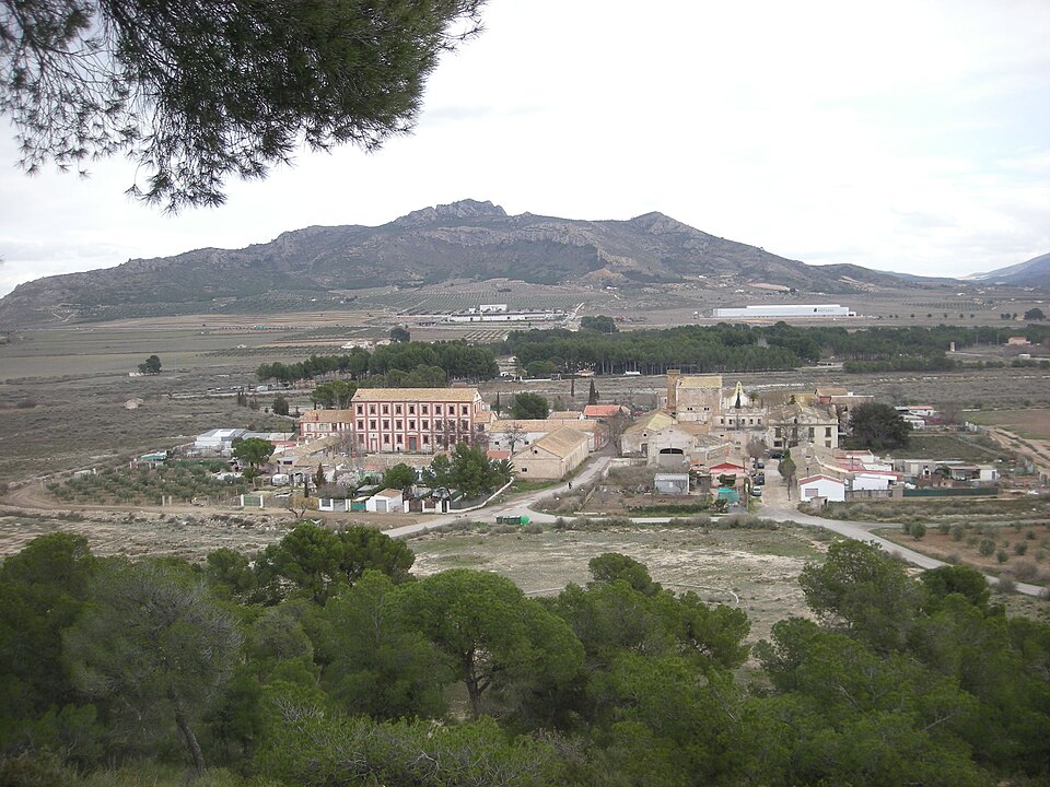 Colonia — local market for manufacturer and distributor portals