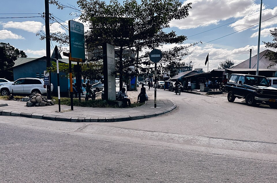 Dodoma — B2B and wholesale portals for local businesses