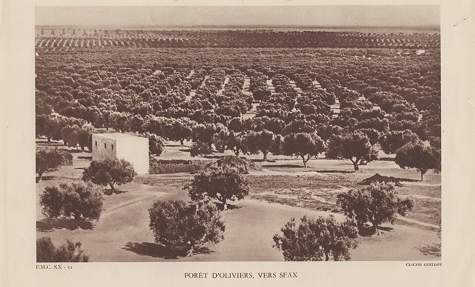 Sfax — local market for international and multi-region stores