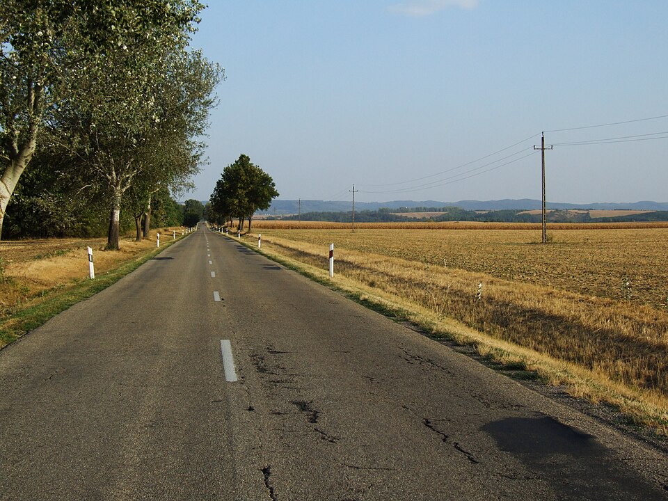 Hungary — B2B and wholesale portals for local businesses