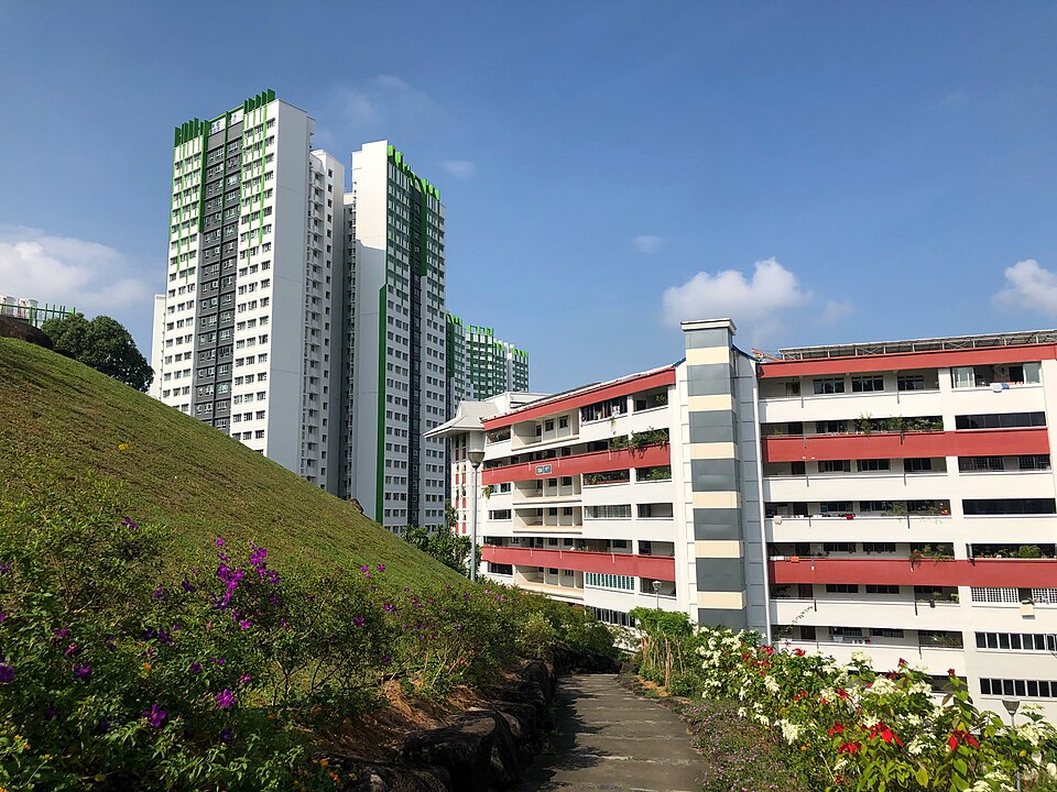 Singapore — international and multi-region stores for local businesses