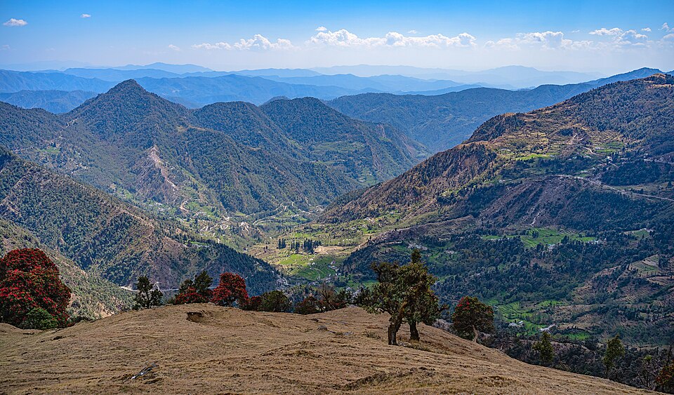 Bageshwar — local market for B2B and wholesale portals