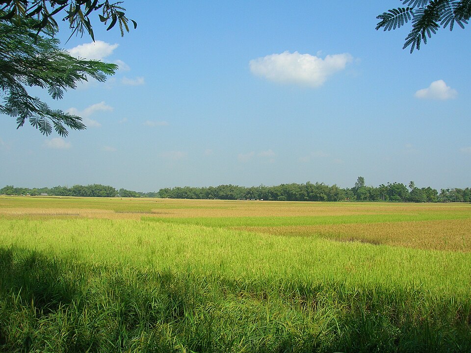 Jalpaiguri — local market for custom e-commerce platforms