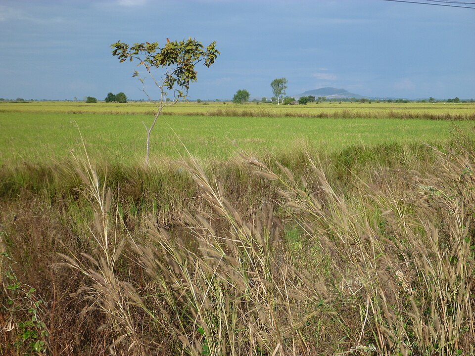 Poipet — local market for international and multi-region stores