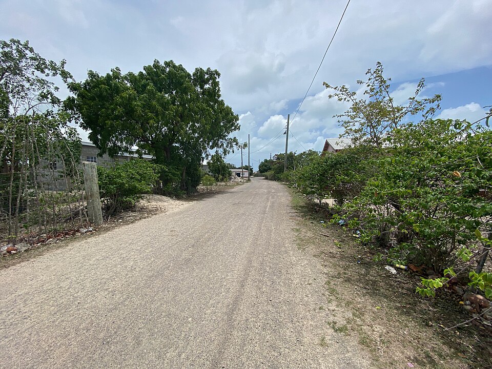 Codrington — service booking platforms for local businesses